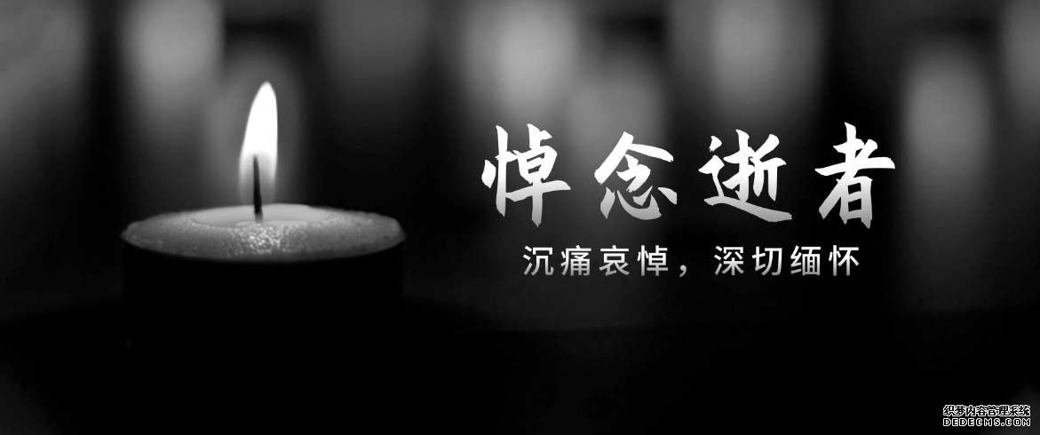 PP电子仿照器(试玩游戏)官方网站